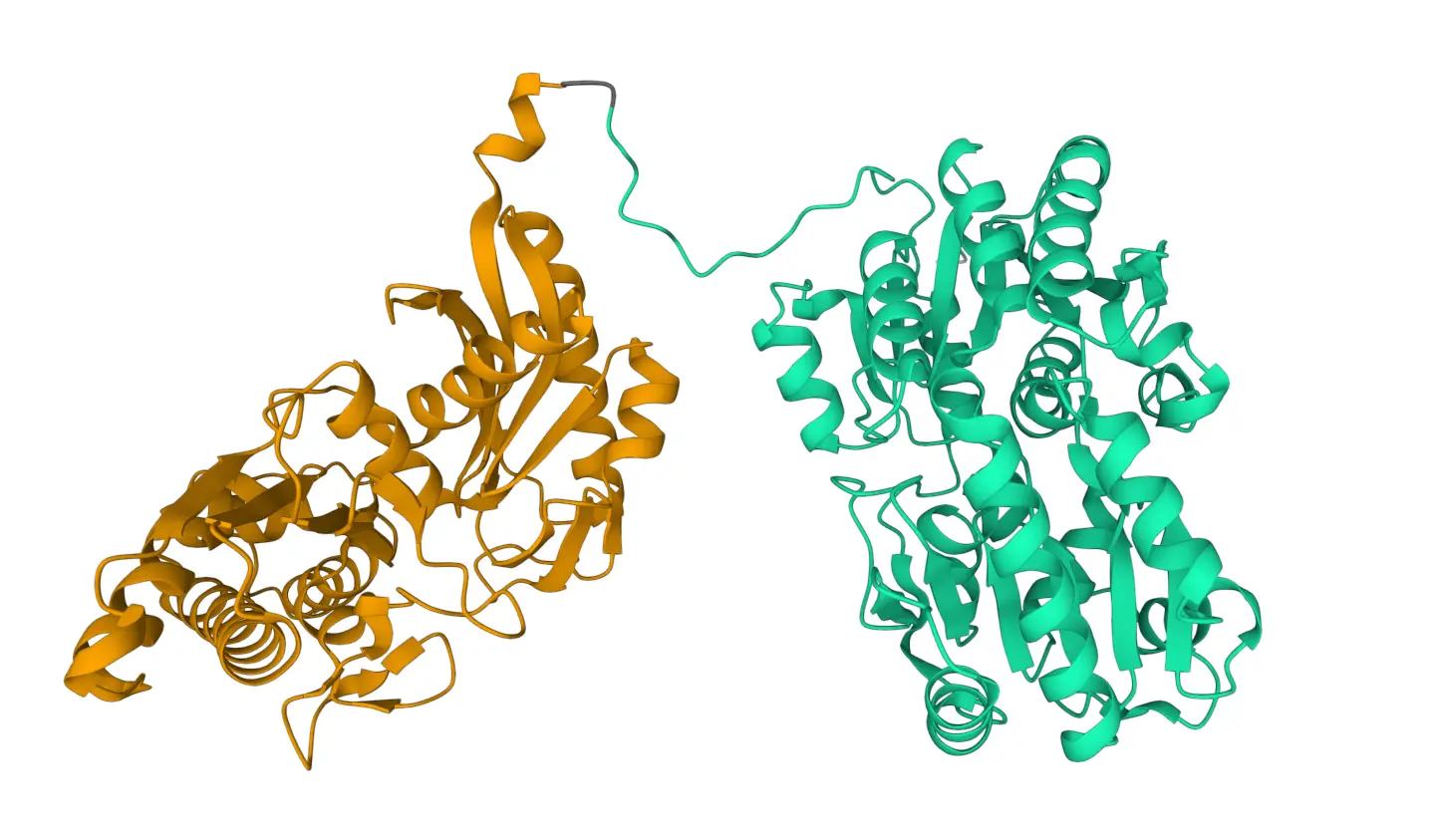 pae image 7